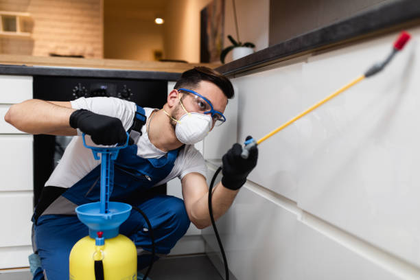 Best Pest Removal Services  in Tainter Lake, WI