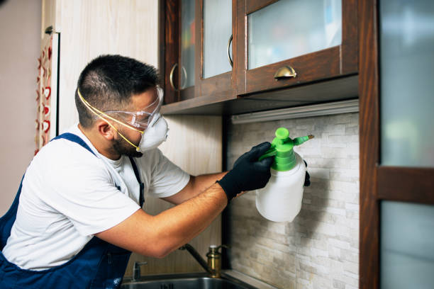 Best Bed Bug Extermination  in Tainter Lake, WI