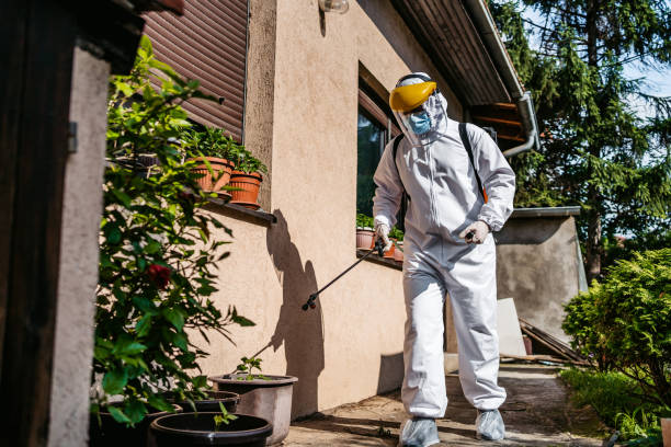 Best Exterminator Services  in Tainter Lake, WI