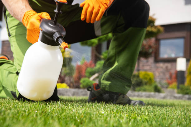 Best Pest Prevention Services  in Tainter Lake, WI