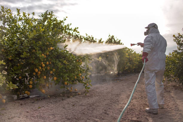 Best Affordable Pest Control Services  in Tainter Lake, WI