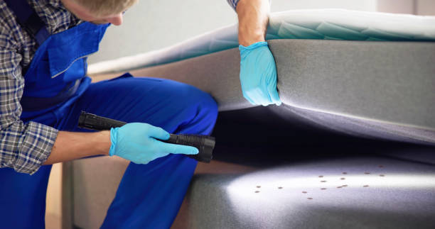 Best Rat Extermination Near Me  in Tainter Lake, WI