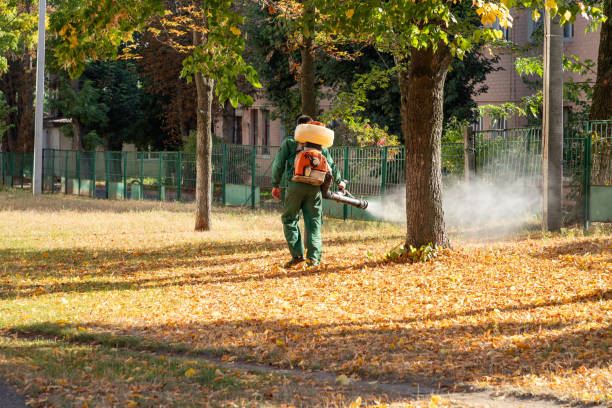 Best Cockroach Control Services  in Tainter Lake, WI