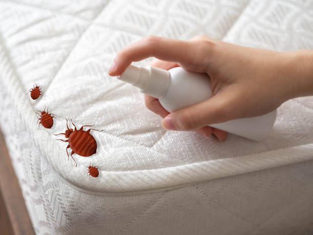 Best Pest Inspection Near Me  in Tainter Lake, WI