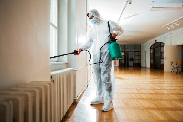 Best Emergency Pest Control  in Tainter Lake, WI