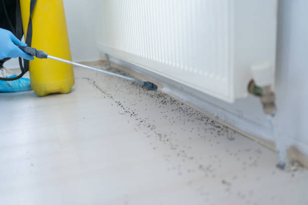 Pest Control for Restaurants in Tainter Lake, WI
